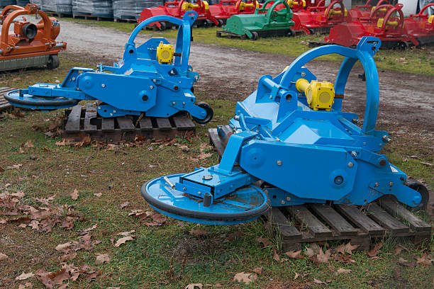 stump removal service in tauranga